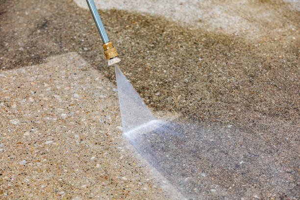 Professional Pressure washing in Westchase, FL